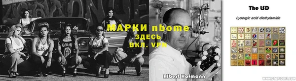 сатива Белоозёрский